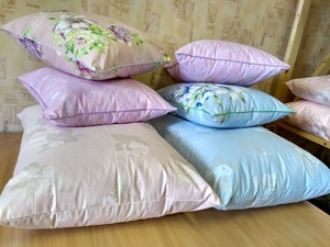 Химчистка подушек выезд на дом Брест #1671687