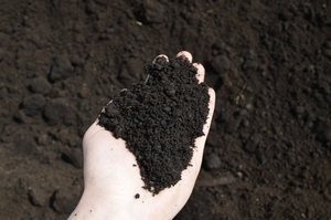 Плодородка доставка Гродно 20 т #1657204