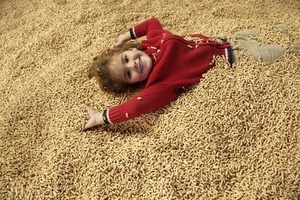 Пеллеты сорт А 1,  d 68мм #1675826