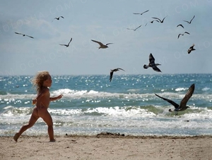 Отель Солнечная мини.Семейный одых на Черном море.Затока. #1679430