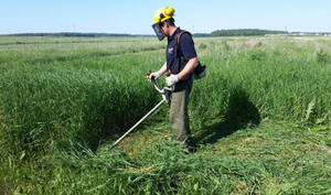 Приглашаем на работу рабочего по покосу травы #1687937