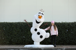 Топиар фигуры от производителя,  доставка по всему миру #1690143