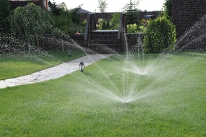 Автополив / Автоматический полив #1699817