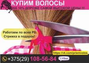 Покупаем волосы в Гомеле. Высокие цены. #1449861