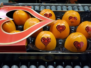 Предлагаем оптовые поставки хурмы(персимон) из Испании #1715442