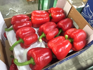 Предлагаем оптовые поставки перцев из Испании #1715448