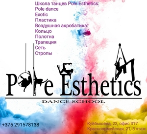 Полдэнс и воздушная акробатика. Обучение. #1728944