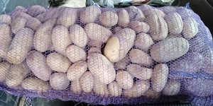 Картофель Королева Анна  #1736898