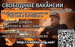 Ооо прайм #1745196