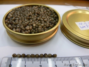 Икра осетровых рыб #128462